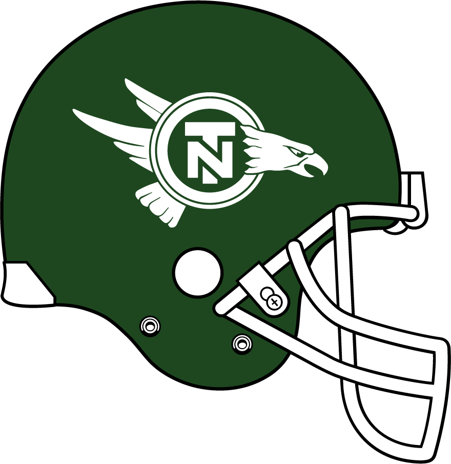North Texas Mean Green 1992-1993 Helmet diy iron on heat transfer